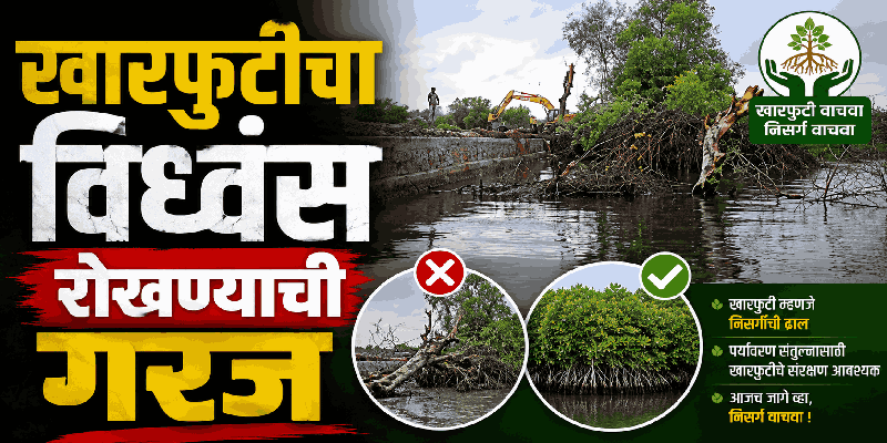 खारफुटीचा विध्वंस रोखण्याची गरज